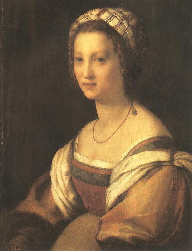 Andrea del Sarto Portrait of the Artist's Wife